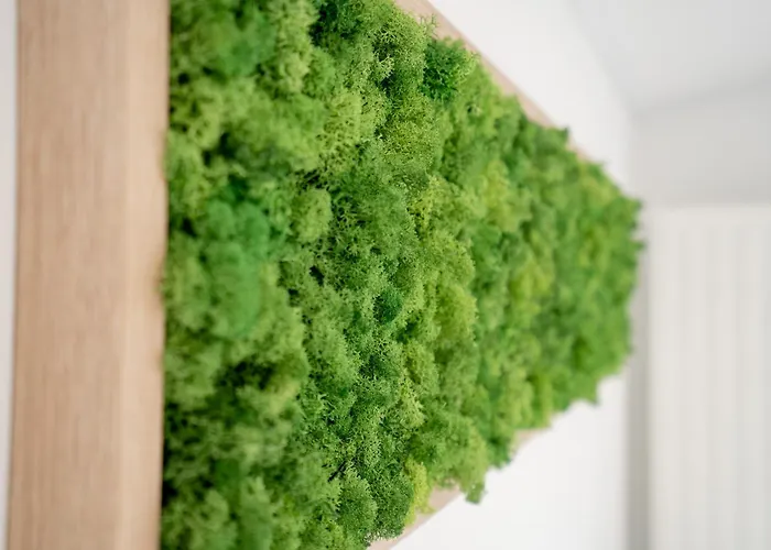 Casa vacanze Ostseecamp Casa De La Playa